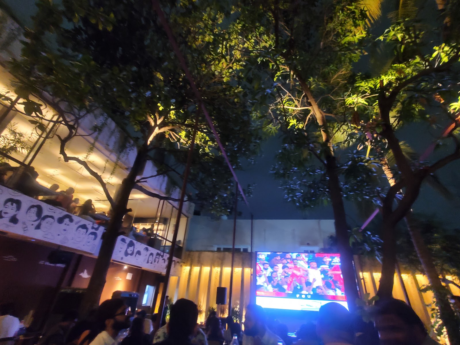 A full yard at night watching the lit screen through the branches.