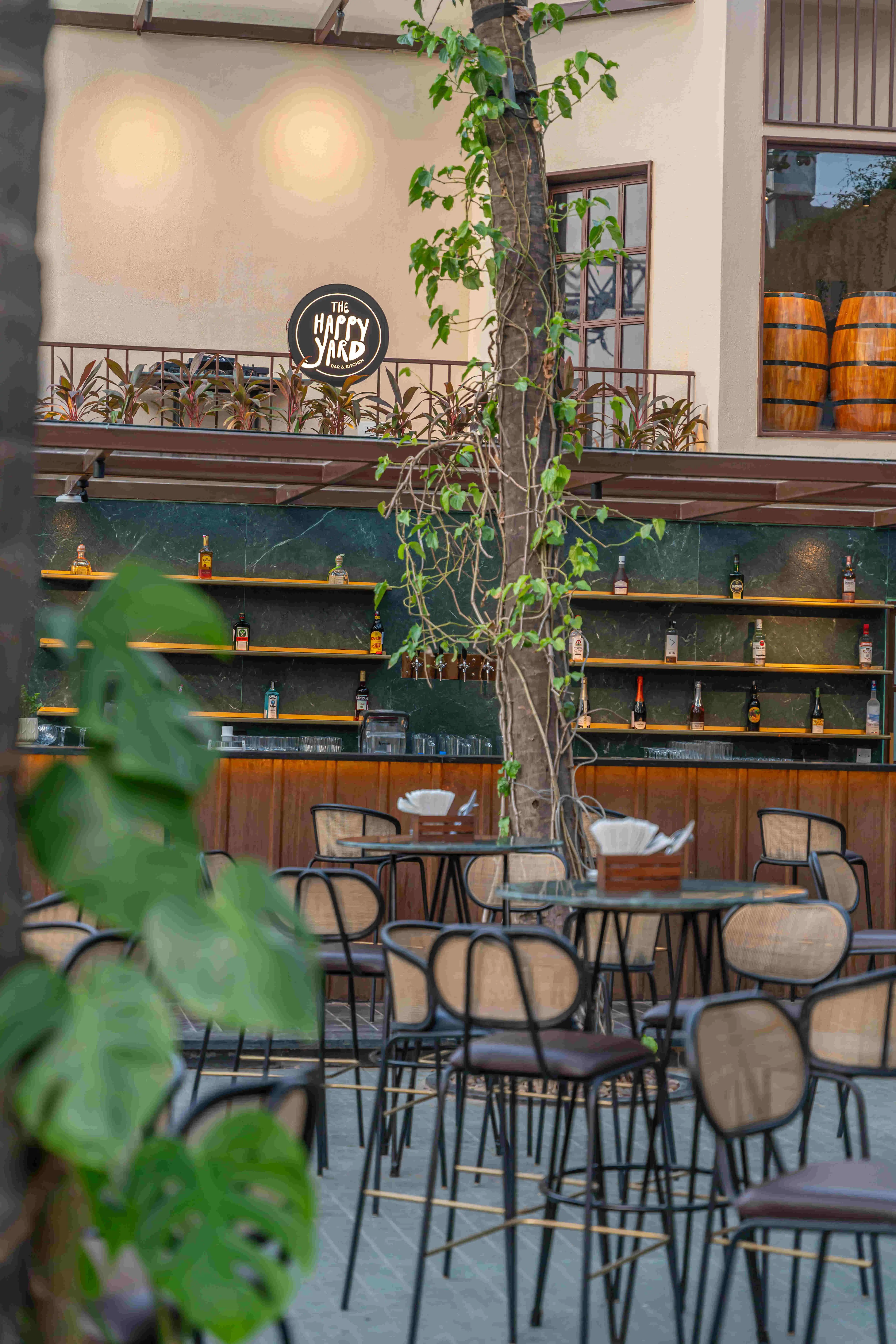 A tree coming up through the deck beside the bar shelving.